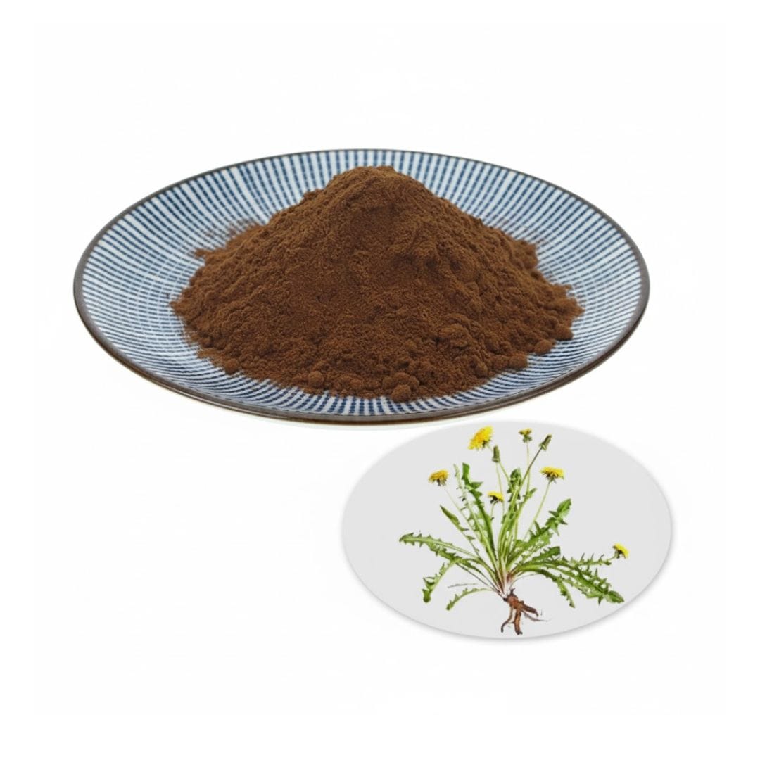 Dandelion Root Extract Powder