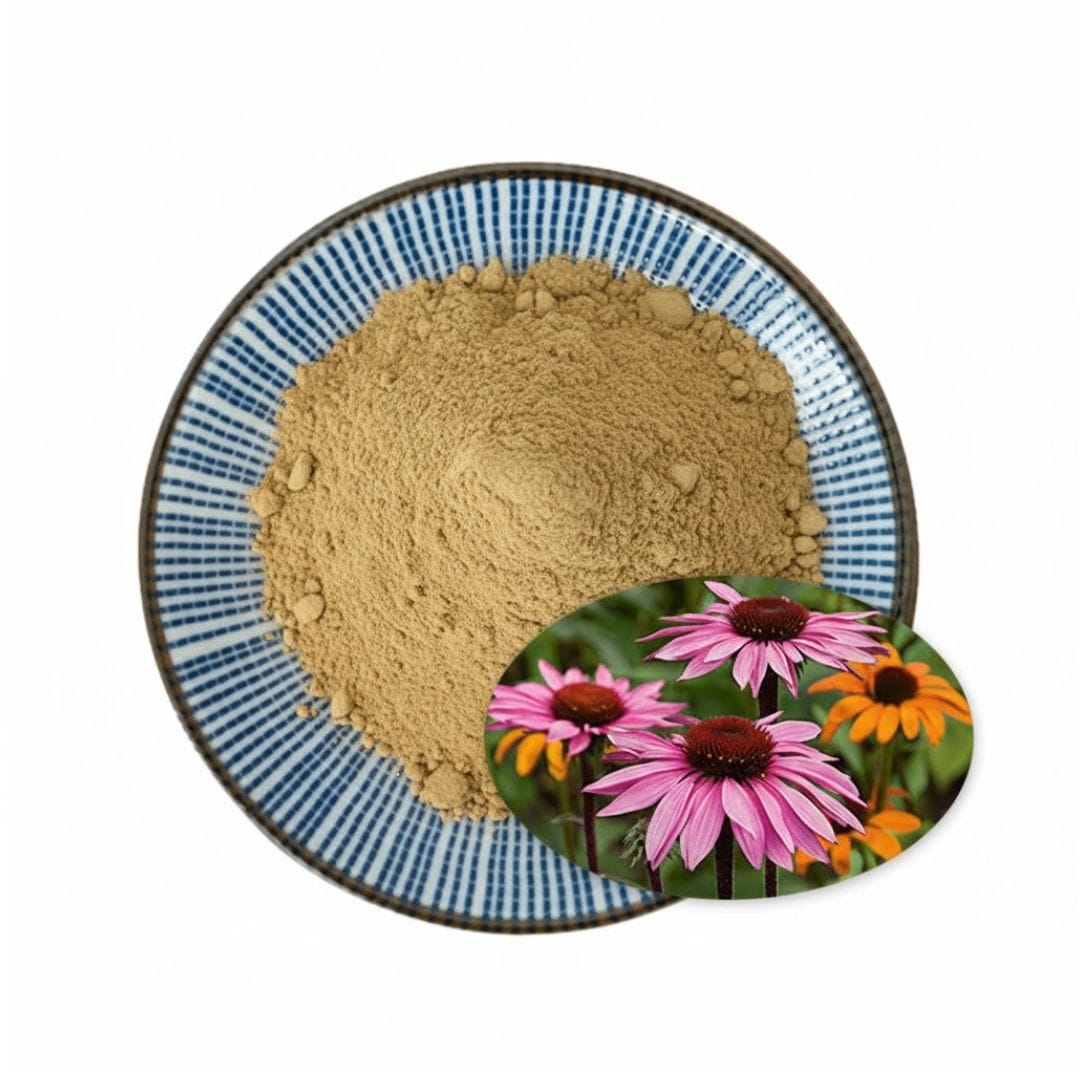 Echinacea Purpurea Extract Polyphenols