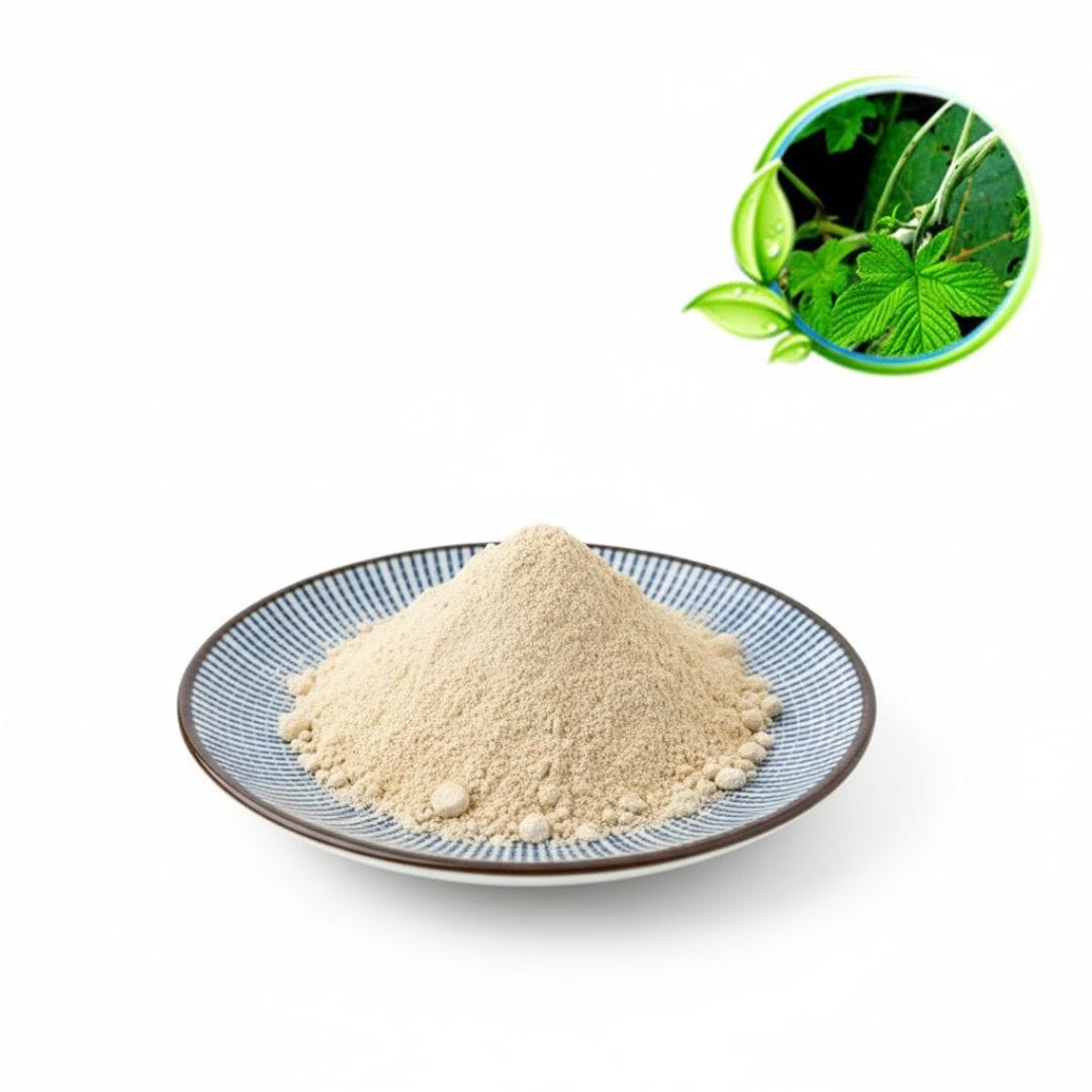 Gynostemma Pentaphyllum Extract