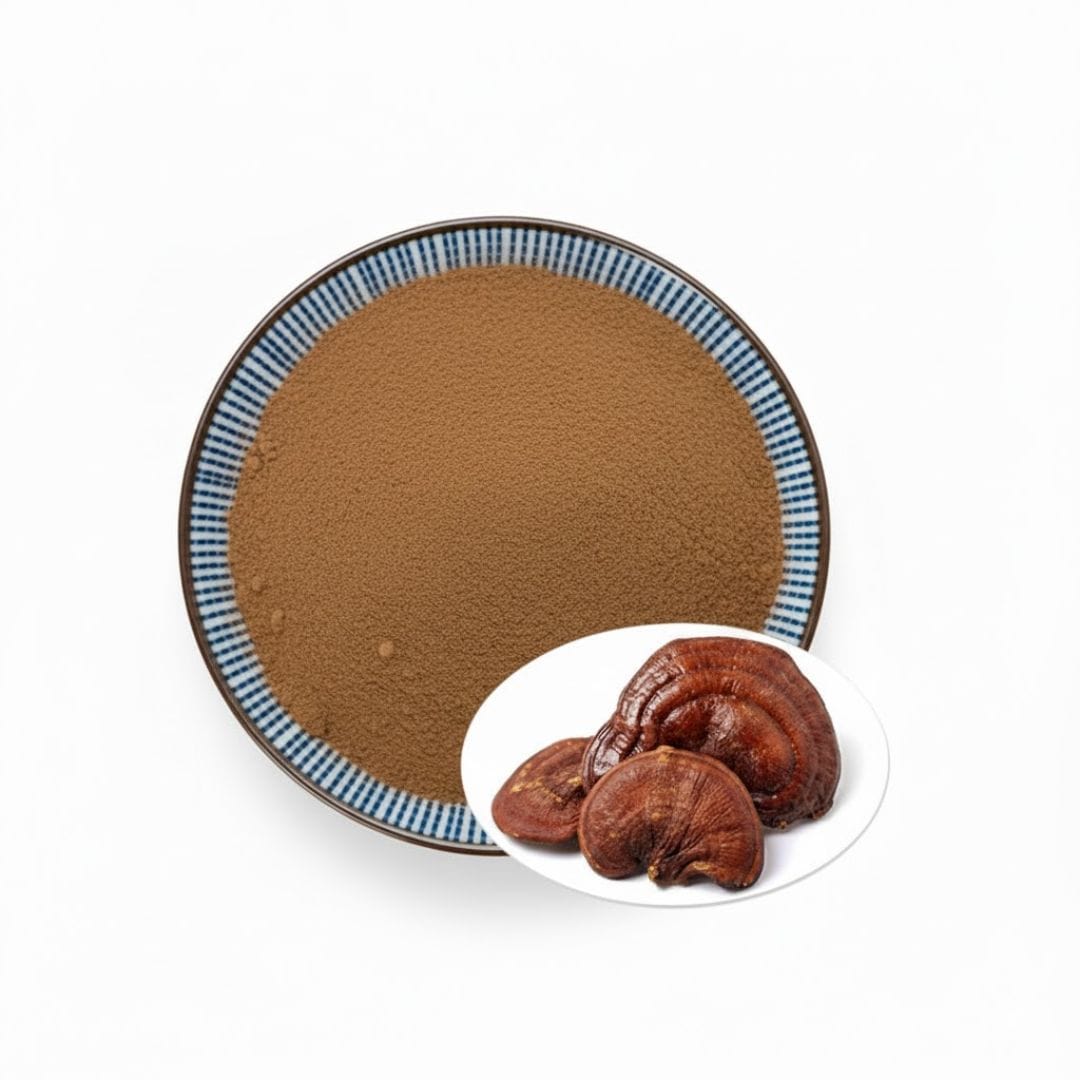 Reishi Mushroom Extract